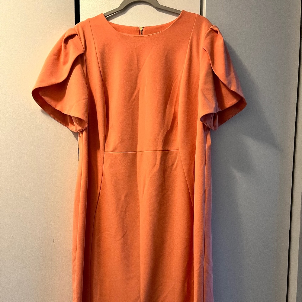 Calvin Klein Tulip Sleeved Dress